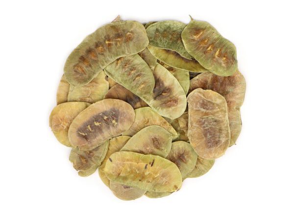Apothecary Herbs Senna Pod