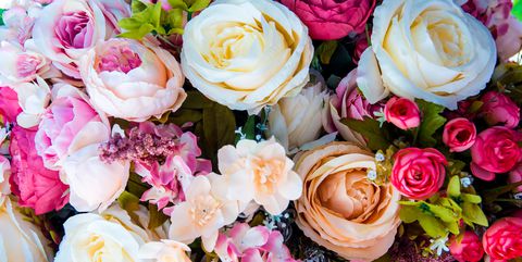 A rose, is a rose, is a rose, is a rose. A rose, is a rose, is a rose, is a rose.