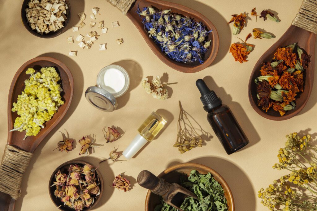 The Healing Power of Herbs: a Journey Into the Herbal Apothecary The Healing Power of Herbs: a Journey Into the Herbal Apothecary