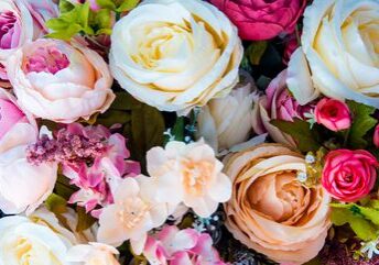 A rose, is a rose, is a rose, is a rose. A rose, is a rose, is a rose, is a rose.