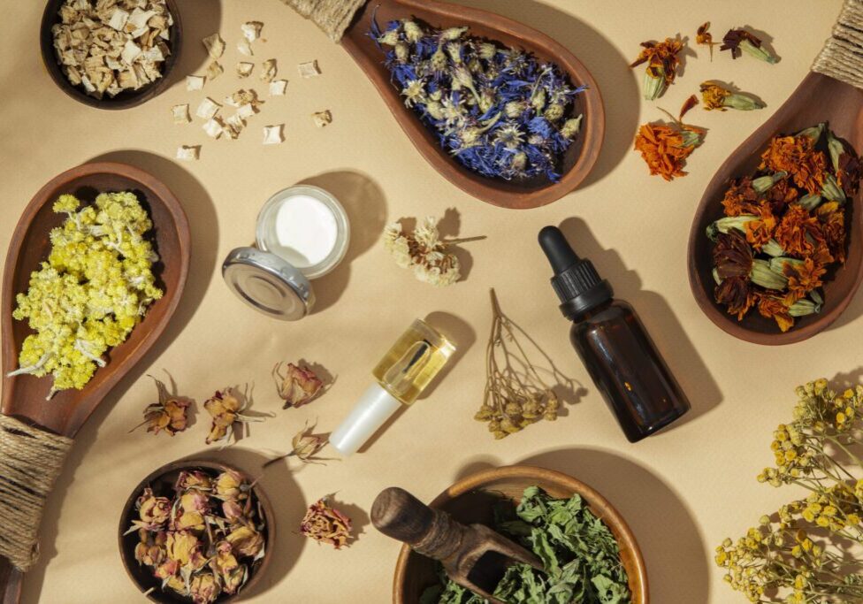 The Healing Power of Herbs: a Journey Into the Herbal Apothecary